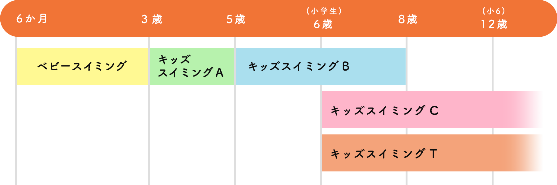 年齢別スクールプランの表